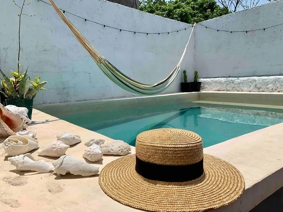 Casita Azul Colonial En El Centro De Merida.