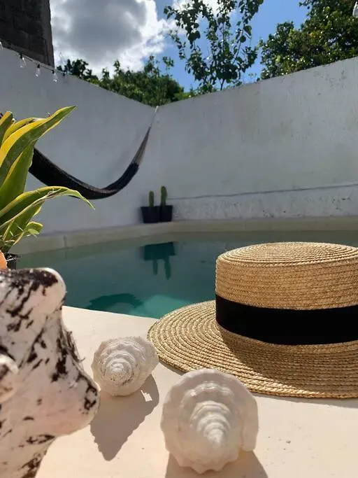 Casita Azul Colonial En El Centro De Merida. 0*,  México